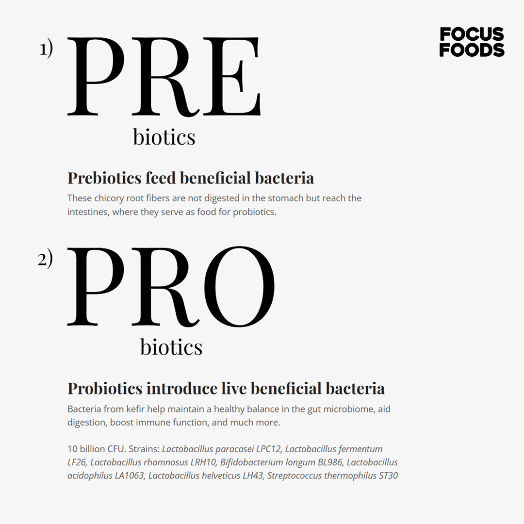 Holistic Gut Health - Prebiotics, Probiotics, Postbiotics from Natural Sources
