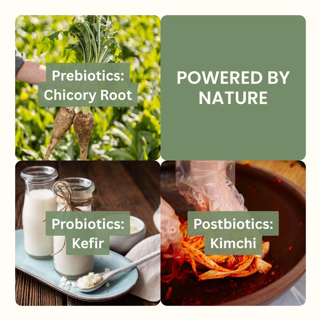 Holistic Gut Health - Prebiotics, Probiotics, Postbiotics from Natural Sources