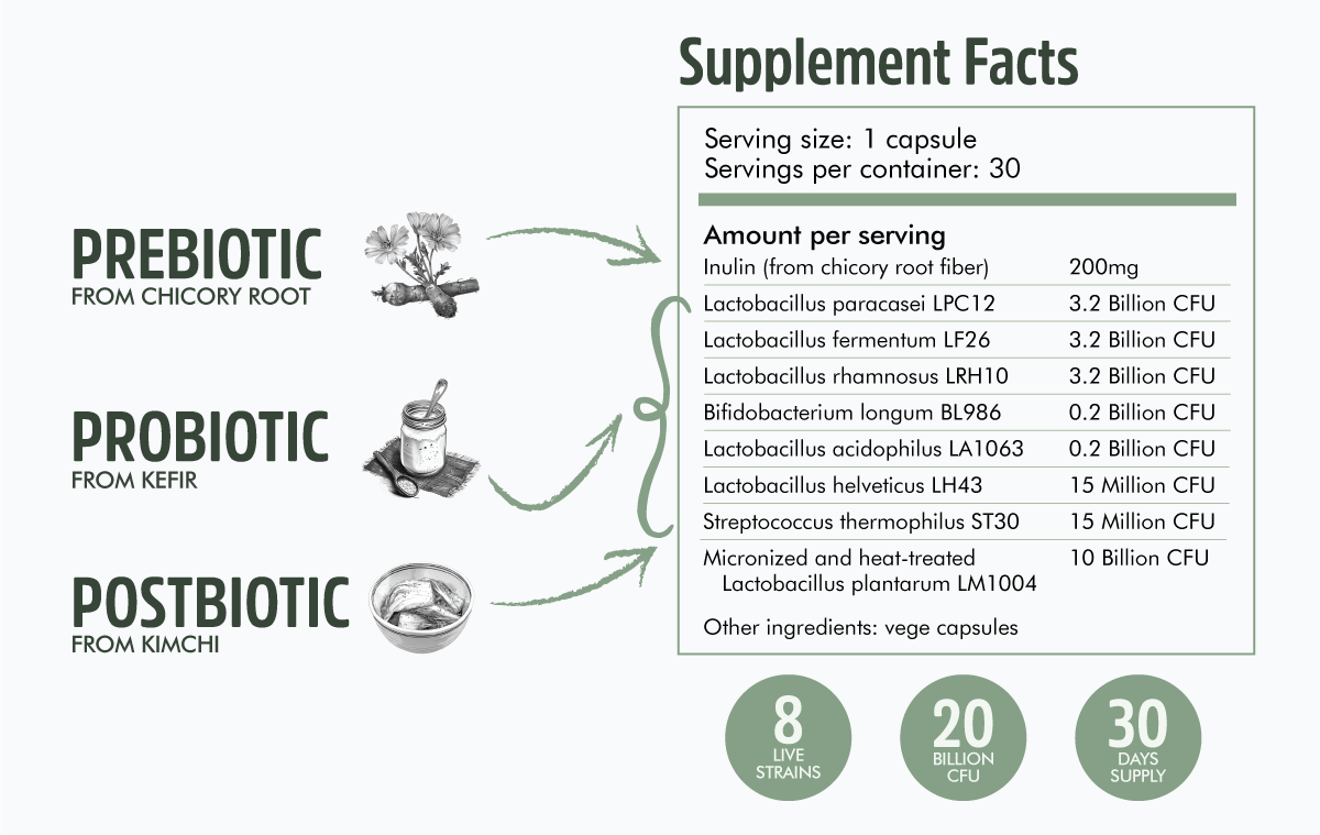 Holistic Gut Health - Prebiotics, Probiotics, Postbiotics from Natural Sources