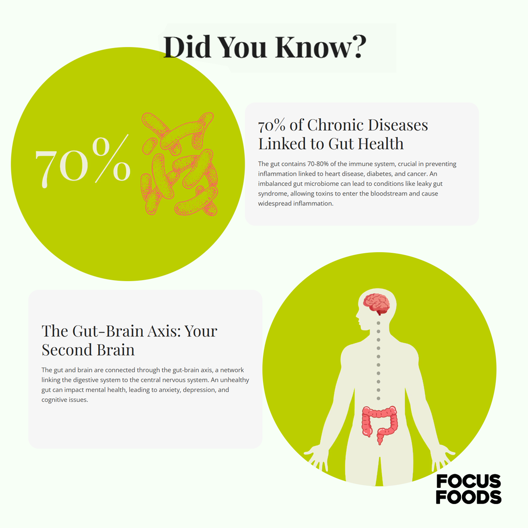 Holistic Gut Health - Prebiotics, Probiotics, Postbiotics from Natural Sources